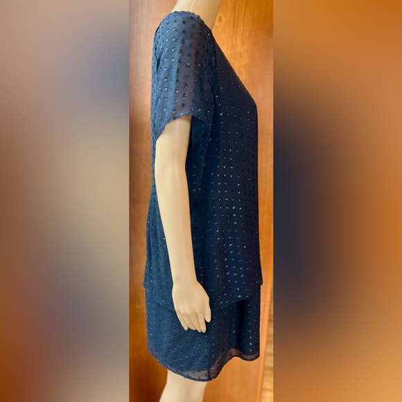 LIFE WITH BIRD Sparkling Embellished Black Silk Dress Size 2 - Picture 4 of 9